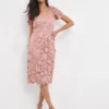 Joanna Hope Blush 3D Lace Midi Dress| Blush